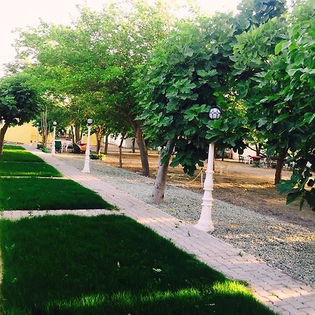 Mali Beach Aparthotel Siğacık Bagian luar foto